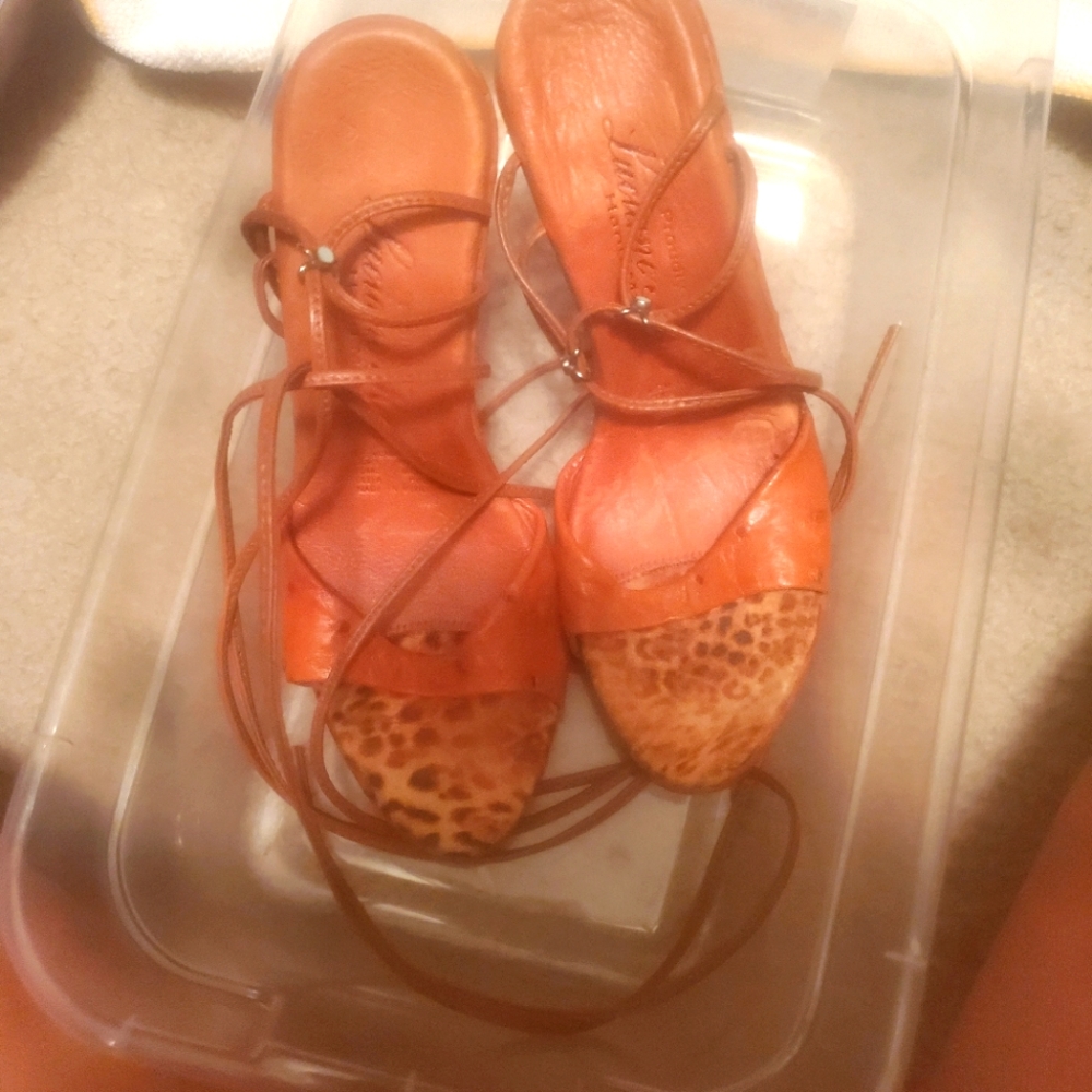 Zapatillas or Stiletto de Avestruz